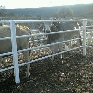 Meet your Posher, Christian